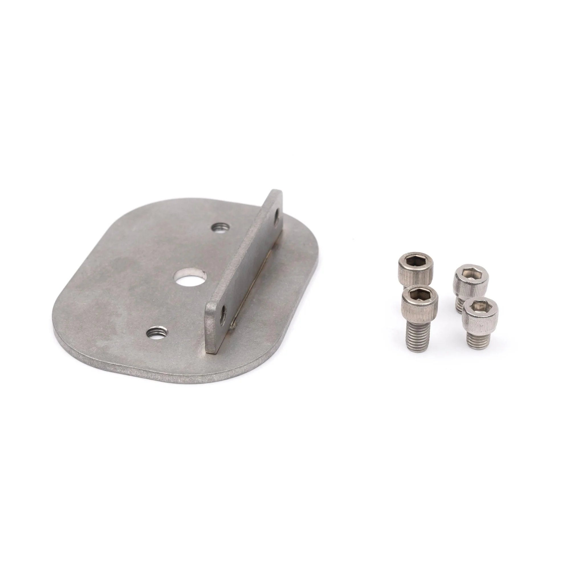 Factory Style Sissy Bar Light Mount - Image 6